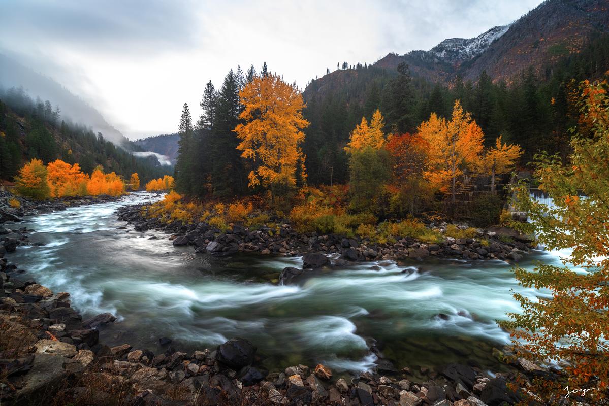 pacific northwest photography in fall trees by the river