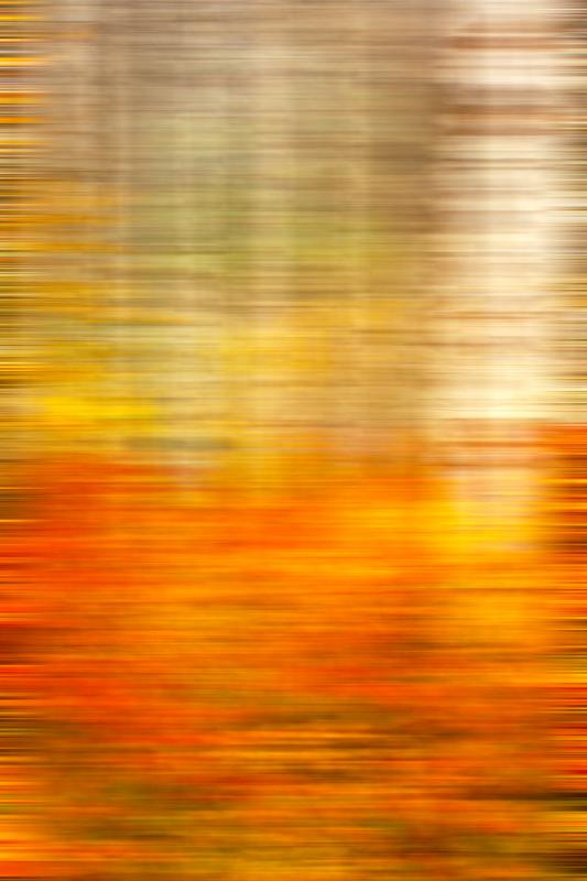 abstract photography acrylic mounted print by Eddie Jongas