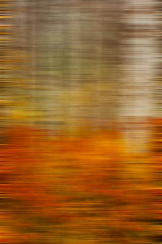 abstract photography print by jongas fine art
