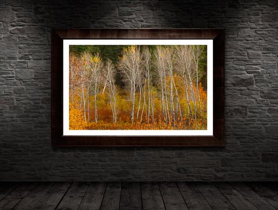 tree wall art display on brick wall framed trees with fall colors in the background