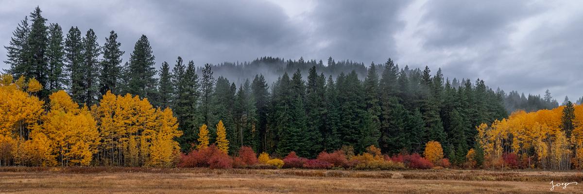 Panorama print for sale of trees in fall with cloudy skies