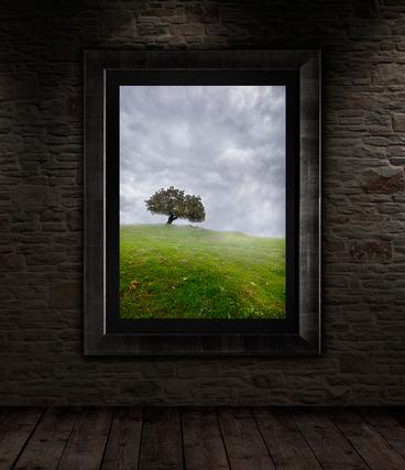 tree wall art display framed foggy with bright colors
