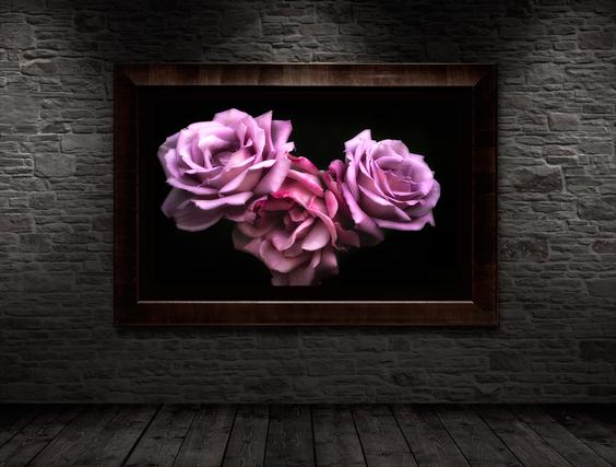 Framed Wall Art Display On A Brick Wall 3 Roses