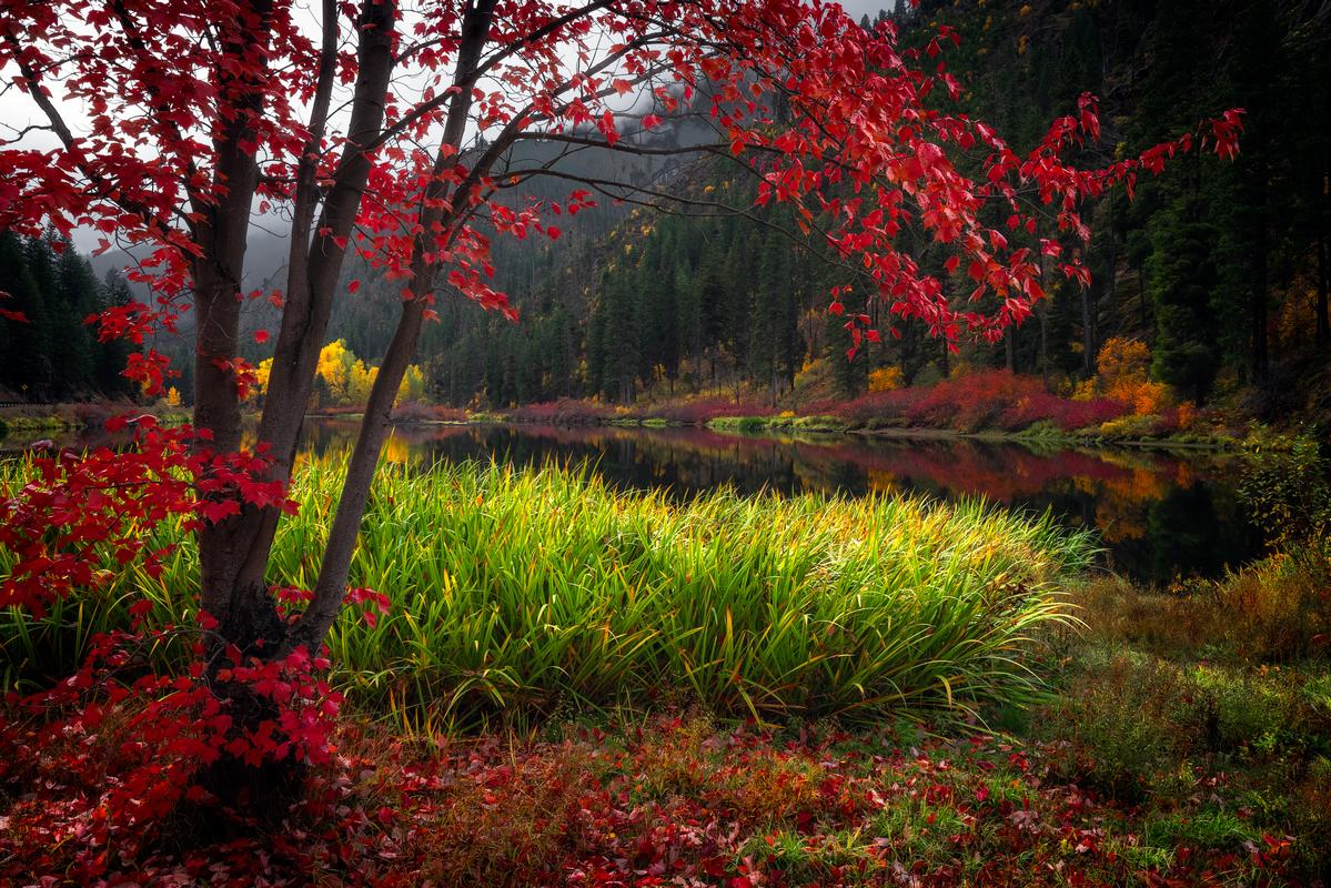 landscape photography nature art in fall red leaves 