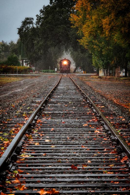 Napa Valley Wine Train approaching on rainsoaked tracks lined with fallen autumn leaves fine art photography by Eddie Jongas