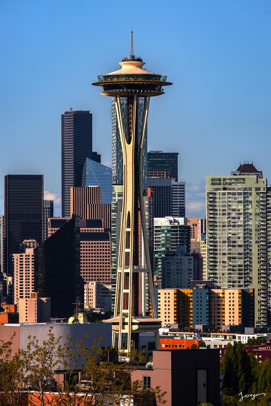 the needle tower in seattle city photography print