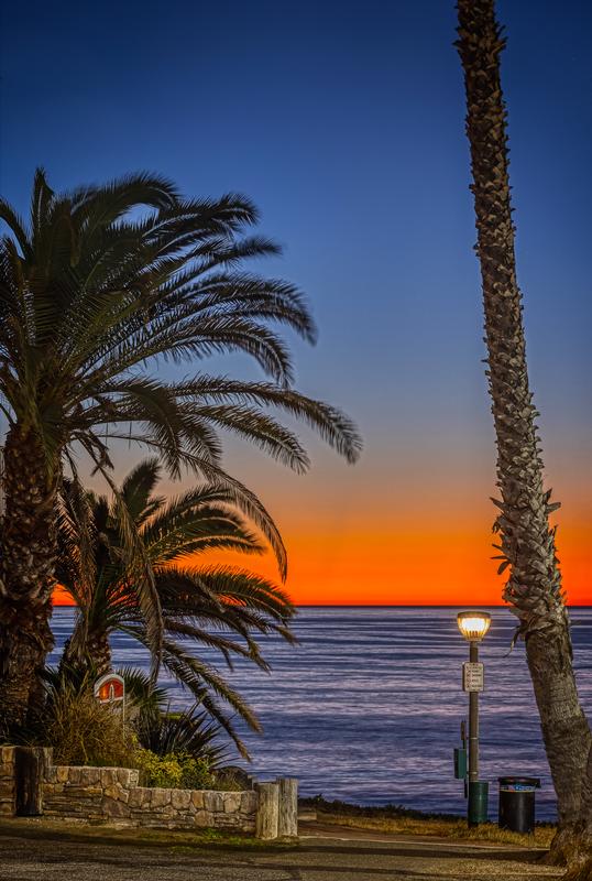 california photography at sunset palm trees art for sale