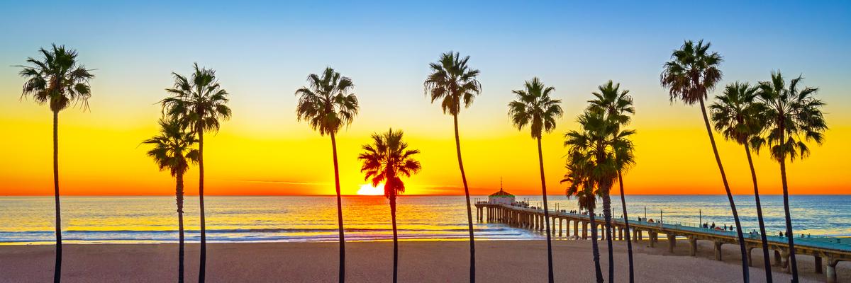 luxury fine art panorama for sale manhattan pier with palms
