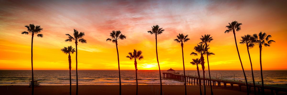 manhattan beach sunset with palm trees and pier wall art